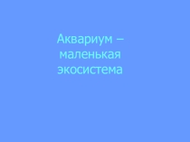 Презентация по окружающему миру  Аквариум - искусственная экосистема