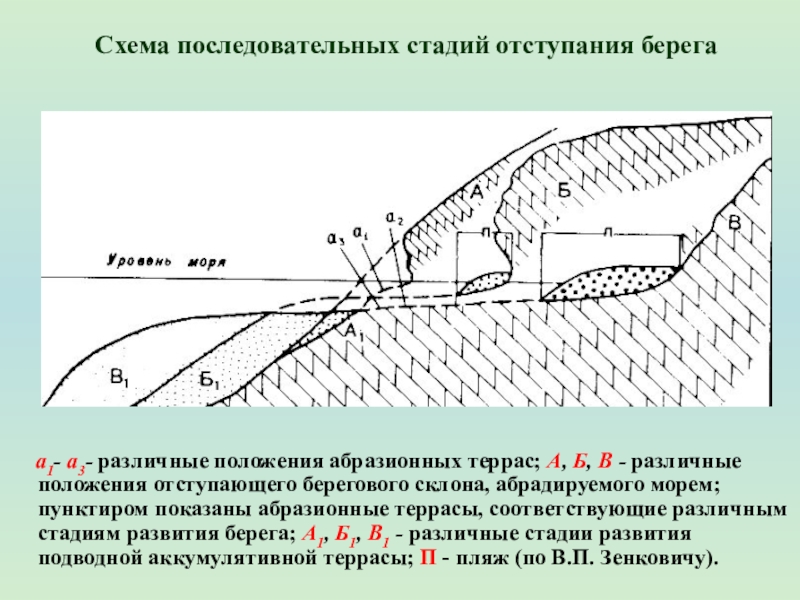 Берег схема. Схема развития абразионного берега. Строение абразионного берега. Строение абразионного и аккумулятивного берега. Механическая абразия схема.