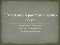 Презентация Животные и растения наших лесов по окружающему миру (4 класс)