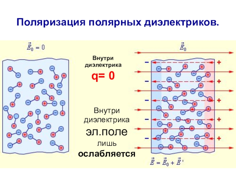 Внутри диэлектрика