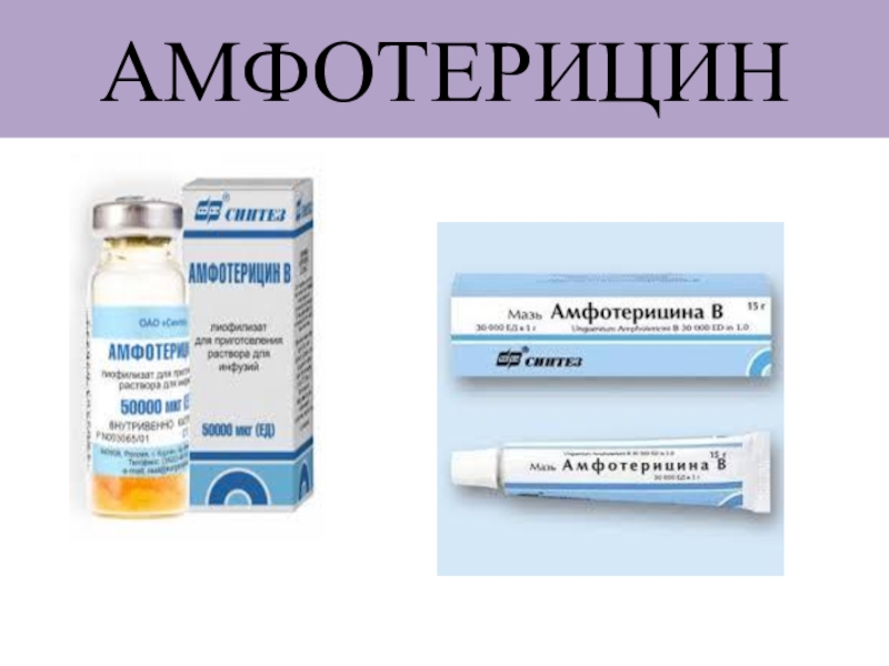 Презентация по фармакологии Антимикозные средства АМФОТЕРИЦИН АМФОТЕРИЦИН