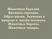 Презентация по экологии на тему Животные Европейской тундры