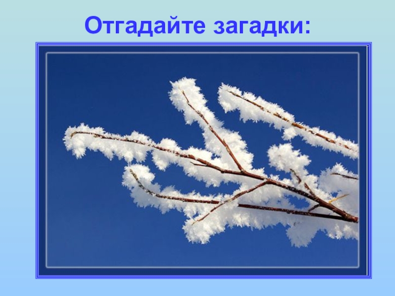 Отгадайте загадки:И не снег, и не лёд,А серебром деревья уберёт.