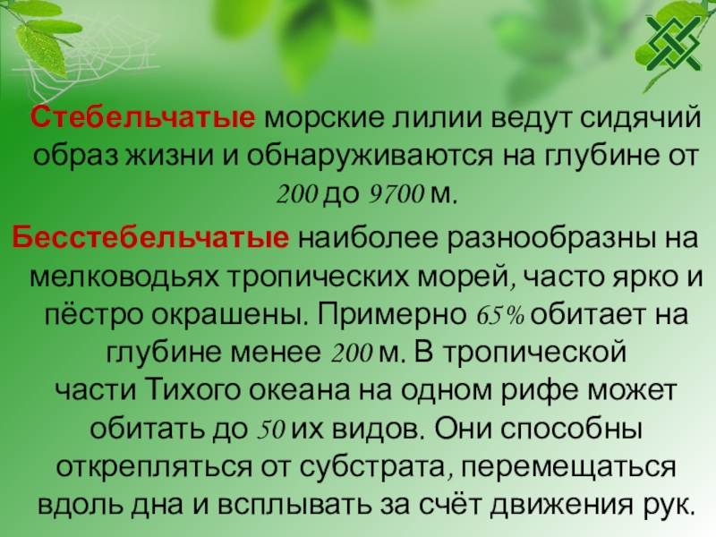 Докажите что природа. Решение проблемы исчезновения тропических лесов. Проблема исчезновения тропических лесов способы решения. Сочинение по проблеме исчезновения тропических лесов. Вопросы по тропическому миру.