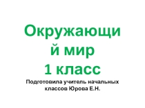 Презентация по окружающему миру на тему: Когда изобрели велосипед? (1 класс)