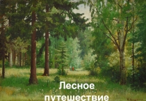 Конспект занятия с интерактивной презентацией по ФЭМП Лесное путешествие