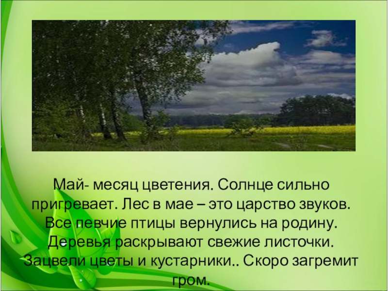 Цветень месяц. Месяц май. Май это месяц цветения земли. Май это месяц цветения земли цветут и леса.