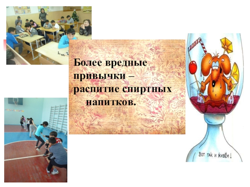 Презентация по уроку Мы за здоровый образ жизни и выбираем спорт 2016 Более вредные привычки – распитие спиртных напитков. Более вредные привычки – распитие спиртных напитков.