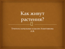 Презентация по окружающему миру на тему Как живут растения (1 класс)