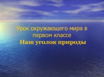 Презентация по окружающему миру Наш уголок природы