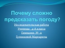 Исследовательская работа Как в мухе увидеть слона?...