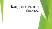 Презентация по окружающему миру на тему Хвойные растения