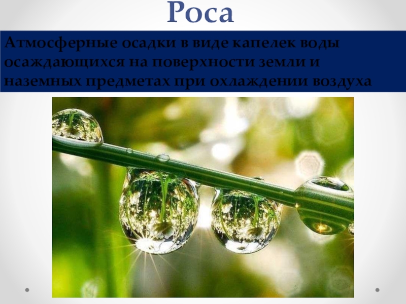 Презентация по географии на тему Атмосферные осадки (6 класс) РосаАтмосферные осадки в виде капелек воды осаждающихся на поверхности земли и наземных предметах при охлаждении воздуха РосаАтмосферные осадки в виде капелек воды осаждающихся на поверхности земли и наземных предметах при охлаждении воздуха