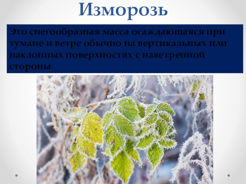 Презентация по географии на тему Атмосферные осадки (6 класс) ИзморозьЭто снегообразная масса осаждающаяся при тумане и ветре обычно на вертикальных ИзморозьЭто снегообразная масса осаждающаяся при тумане и ветре обычно на вертикальных или наклонных поверхностях с наветренной стороны