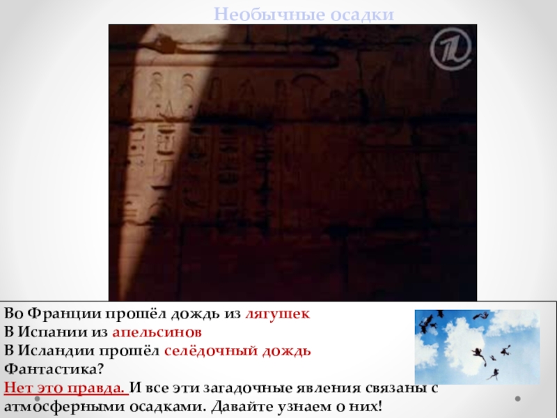 Презентация по географии на тему Атмосферные осадки (6 класс) Во Франции прошёл дождь из лягушек В Испании из апельсинов В Во Франции прошёл дождь из лягушек В Испании из апельсинов В Исландии прошёл селёдочный дождьФантастика? Нет это