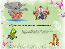 ПрезентацияДомашние и дикие животные