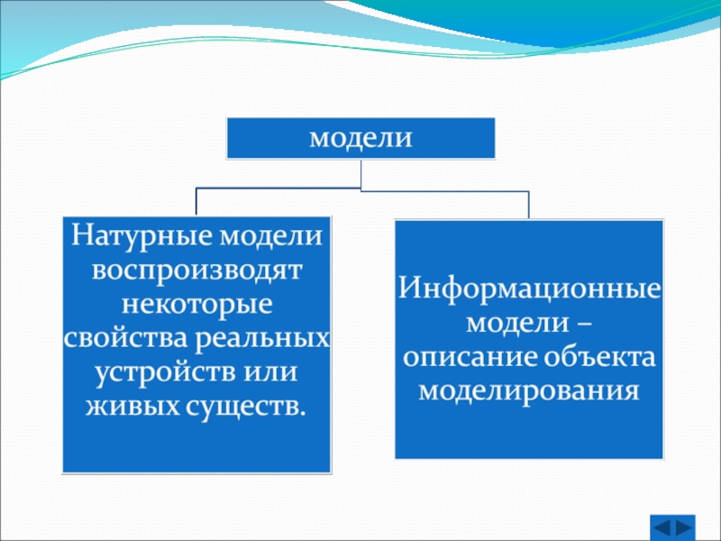 Примеры натурных моделей. Натурные и информационные модели. Моделирование натурное и информационное. Виды моделей натурные и информационные. Информационная модель и натурная модель.