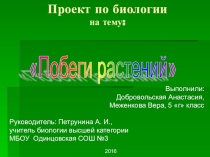 Презентация по биологии Побеги растенийТворческая работа учащихся с проведением наблюдения, измерения в связи с переходом на ФГОС.