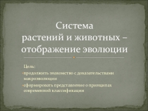Система растений и животных - отображение эволюции 11 класс