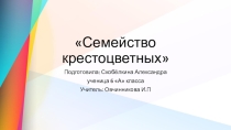 Презентация к уроку биологии в 6 классе на тему Семейство Крестоцветные