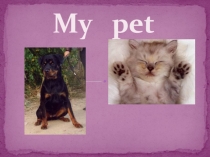 Презентация по английскому языкуMy pet