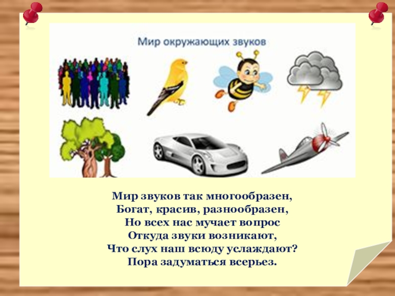 Звук презентация 2 класс. Мир звуков. Звуки в окружающем мире. Окружающий звук. Мир окружающих звуков.