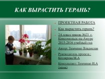 Презентация проекта Как вырастить герань.