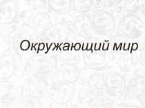 Туман и облака. Осадки