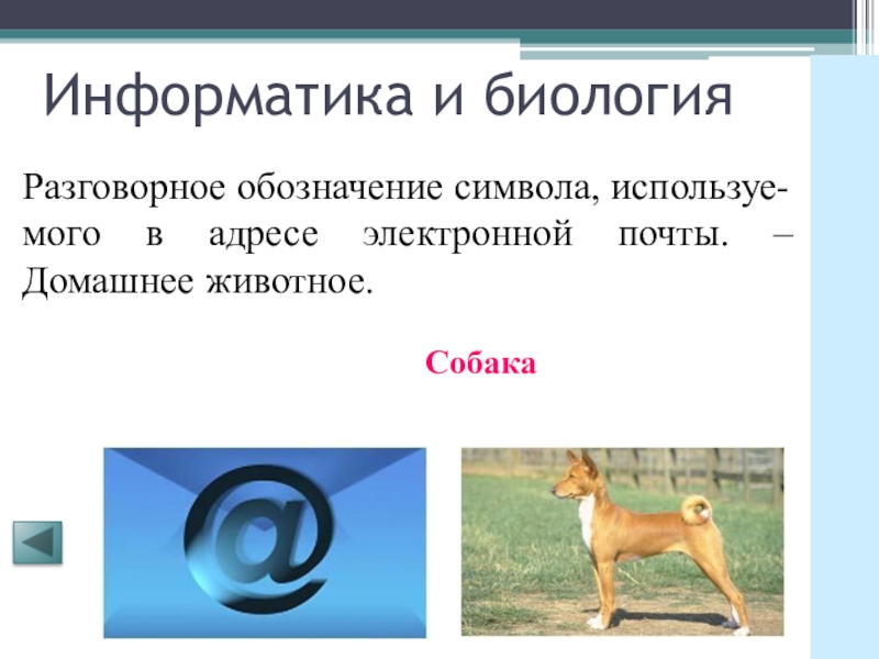 Почему собаку зовут собакой. Собака символ. Значок "собака". Символ собака значение. Собака электронная почта.