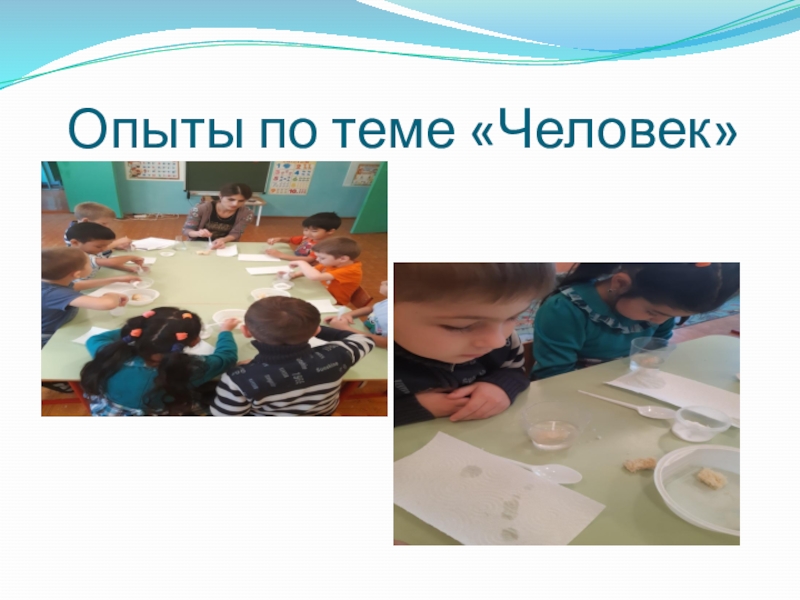 Экспериментальная деятельность Опыты по теме «Человек» Опыты по теме «Человек»
