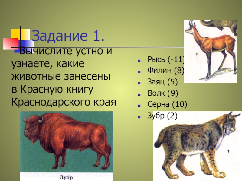 Задание 1.Рысь (-11)Филин (8)Заяц (5)Волк (9)Серна (10)Зубр (2)   Вычислите устно и узнаете, какие животные занесены