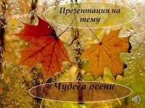 Чудеса осени