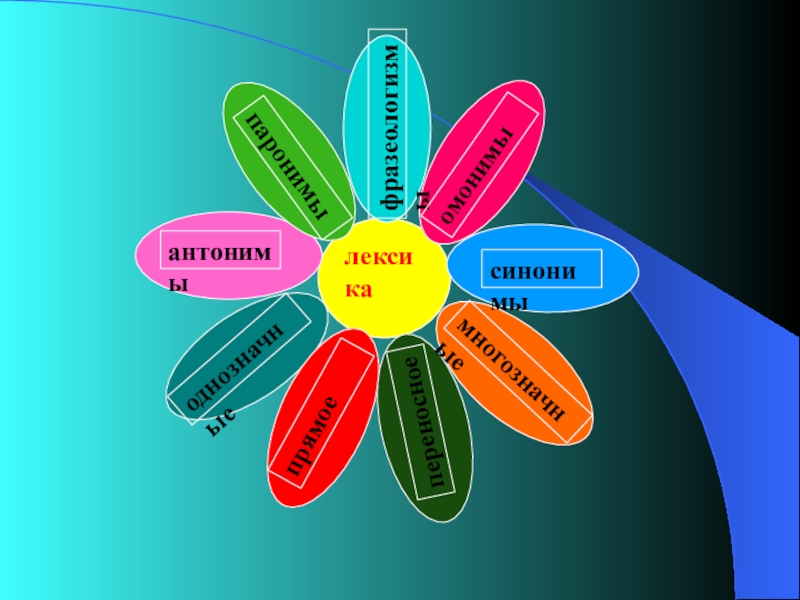 Творческий синоним. Лексика и фразеология. Картинки на тему лексика. Лексика и фразеологизмы. Лексика синонимы антонимы.