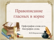 Правописание гласных в корнях слов (задание 9)