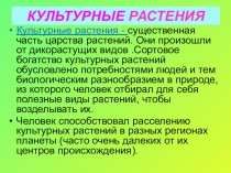 Презентация по биологии для 6класса на тему: Дары Нового Света.