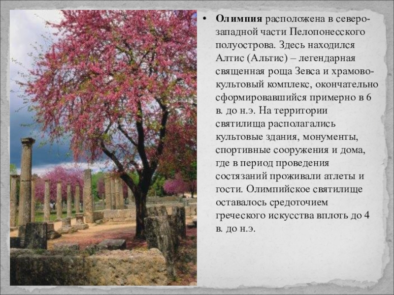 Олимпия расположена в северо-западной части Пелопонесского полуострова. Здесь находился Алтис (Альтис) – легендарная священная роща Зевса и