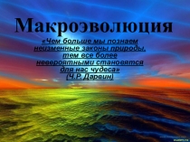 Презентация к уроку по теме: Макроэолюция