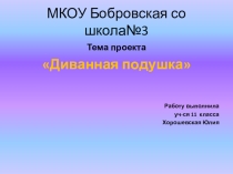 Проект по технологии Диванная подушка