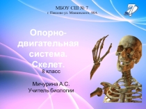 Презентация по биологии на тему Опорно-двигательная система. Скелет (8 класс)