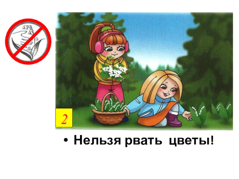Почему нельзя нюхать. Нельзя рвать цветы. Рвать цветы запрещено. Рисунок почему нельзя рвать цветы. Нельзя срывать растения.