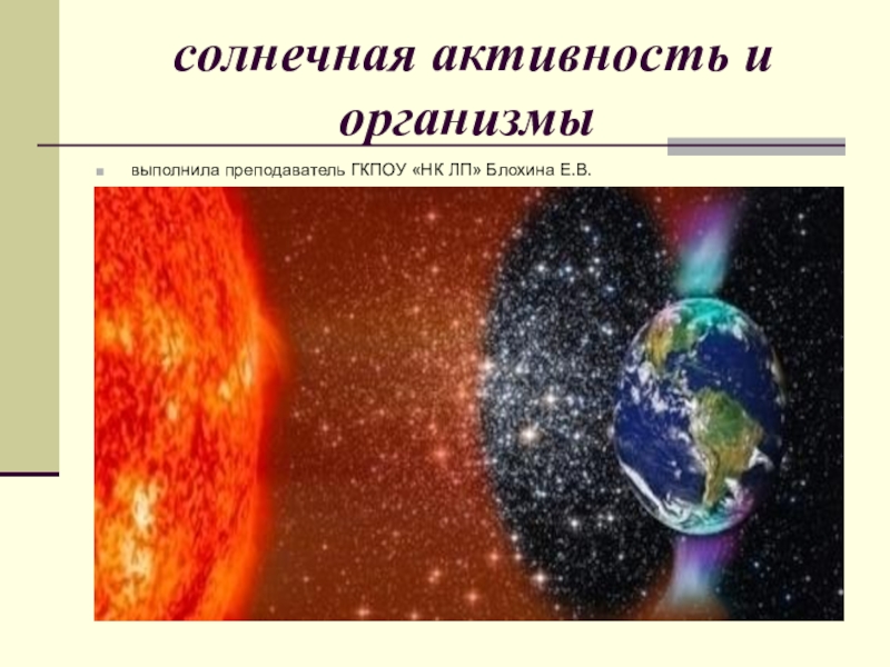 Презентация Презентация по биологии Солнечная активность и организмы