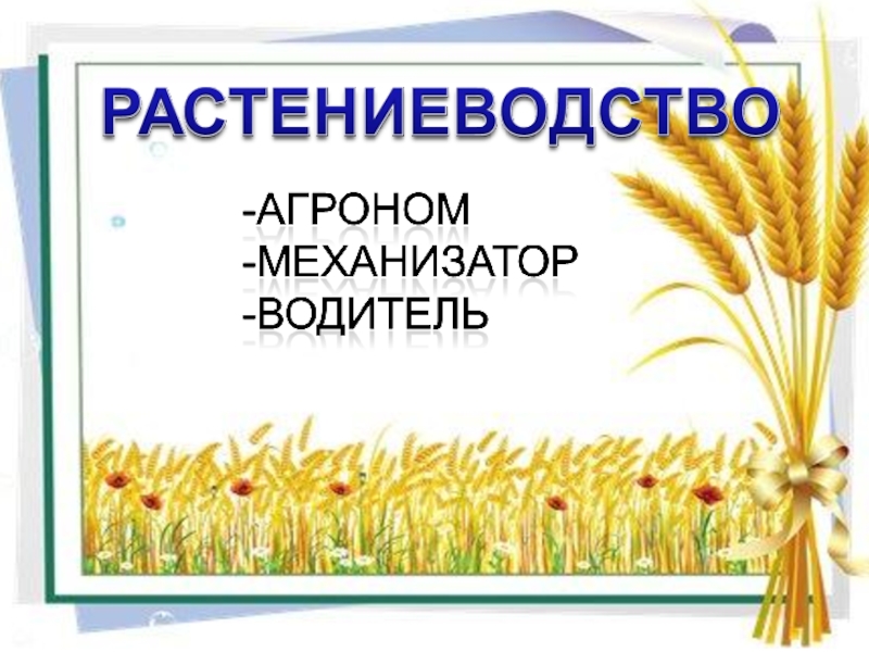 Путешествие в мир профессий сельского хозяйства презентация 1 класс