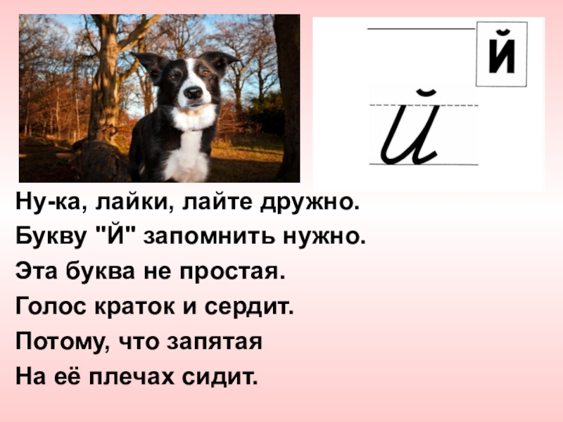 Лаять сколько букв. Ну ка лайки лайте дружно букву й запомнить нужно. Ну ка лайки лайте дружно. Стишок в лайке. Стих про лайку.