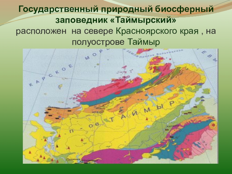 Где на карте полуостров таймыр. Таймырский биосферный заповедник на карте. Таймырский заповедник природная зона. Таймырский заповедник наскарте. Географическое положение Таймырского заповедника.