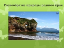 Презентация по окружающему миру Природа родного края