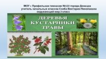 Презентация - окружающий мир 2 класс  Какие бывают растения