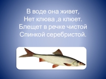 Конспект занятия по развитию речи и презентация к занятию