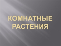 Комнатные растения. Окружающий мир. 2 класс