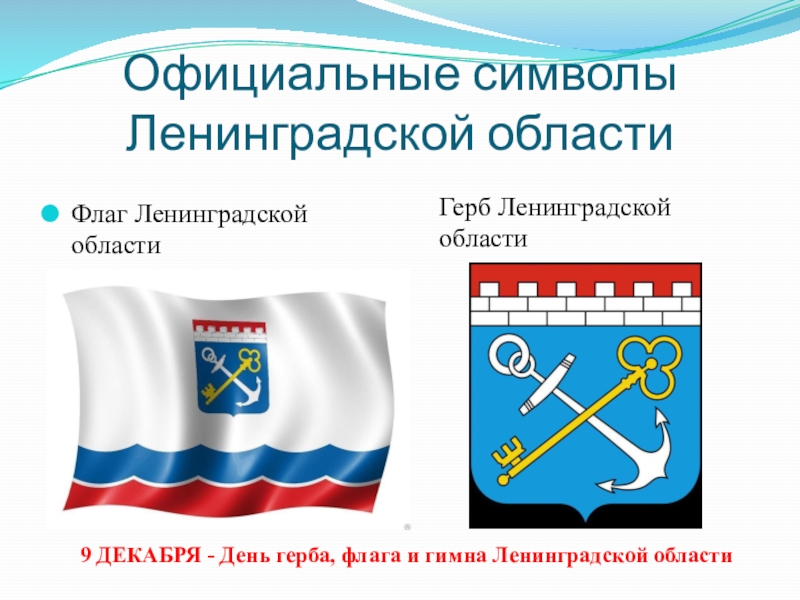 Герб и флаг ленинградской области фото