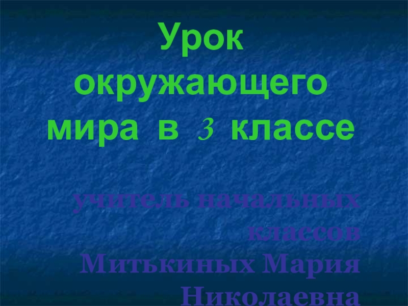 Доклад: Экономика и экология нефти